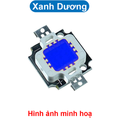 LED COB công suất 12V 10W 20x29 siêu sáng