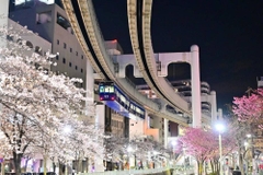 Choáng váng với đoàn tàu treo ngược dài nhất thế giới ở Nhật Bản