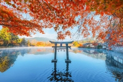 JNTO công bố lịch dự báo lá đỏ, lá vàng mới nhất cho mùa thu, Hokkaido mở màn từ cuối tháng 10