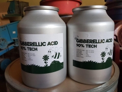 acid-gibberellic-90-ga3