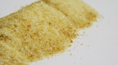 gelatin