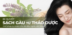Gàu & Ngứa Da Đầu Dai Dẳng? 