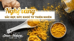 NGHỆ - 