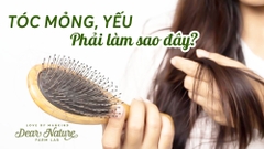 TÓC MỎNG YẾU? BÍ QUYẾT NUÔI DƯỠNG MÁI TÓC DÀY KHỎE TỪ THIÊN NHIÊN CÙNG DEAR NATURE