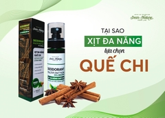 TẠI SAO XỊT ĐA NĂNG DEAR NATURE LỰA CHỌN QUẾ CHI?