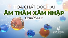 Hóa Chất Độc Hại Xâm Nhập Cơ Thể Qua Những Con Đường Nào Ngoài Ăn Uống?