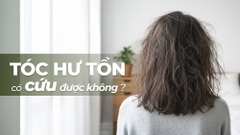 Tóc Khô Xơ, Hư Tổn Có 