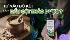Tự Nấu Nước Gội Bồ Kết Tại Nhà hay Dầu Gội Thảo Dược Cô Đặc: Giải Pháp Nào Tốt Hơn?