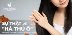 Hà Thủ Ô Có Thực Sự Giúp Tóc Đen, Giảm Gãy Rụng? Sự Thật Từ Đông Y & Khoa Học