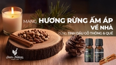 Mang Hương Rừng Ấm Áp Về Nhà Với Tinh Dầu Gỗ Thông & Quế