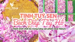 TINH TÚY SEN BÁCH DIỆP - GÓI TRỌN LINH HỒN ĐẤT TRỜI TRONG TỪNG GIỌT DƯỠNG CHẤT