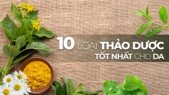 Top 10 Loại Thảo Dược Tốt Nhất Cho Da Và Ứng Dụng Làm Sữa Tắm
