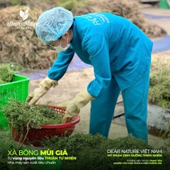 Xà Bông Thảo Dược Orient Treasure Mùi Già Tết Ta 100gr