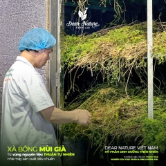 Xà Bông Thảo Dược Orient Treasure Mùi Già Tết Ta 100gr