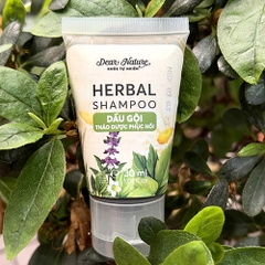 Dầu Gội Trị Gàu, Ngứa, Rụng Herbal 550ml