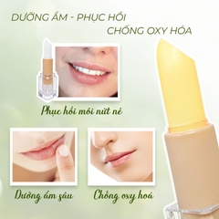 Son Dưỡng Không Màu 2024