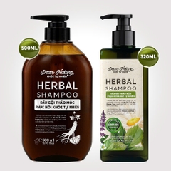 Dầu gội thảo dược phục hồi Herbal