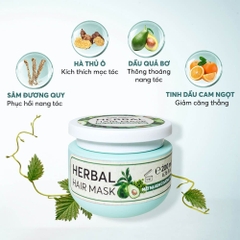 Mặt nạ kem ủ dưỡng tóc Herbal Hair Mask