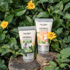 Dầu Xả Thảo Dược Phục Hồi Hư Tổn Herbal Conditioner 550ml