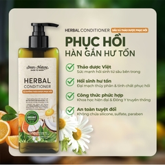 Dầu Xả Thảo Dược Phục Hồi Hư Tổn Herbal Conditioner 550ml