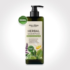 Dầu Gội Trị Gàu, Ngứa, Rụng Herbal 550ml
