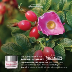 Son dưỡng Lụa tầm xuân Rosehip Lip Therapy 6gr