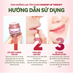 Son dưỡng Lụa tầm xuân Rosehip Lip Therapy 6gr