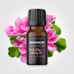 Tinh dầu phong lữ 10ml