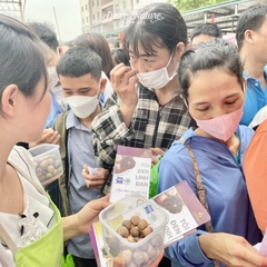Tỏi Đen Cô Đơn 2, Gói 250g TP18