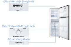 Tủ lạnh Samsung 236 lít RT22M4032BY/SV