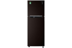 Tủ lạnh Samsung 236 lít RT22M4032BY/SV