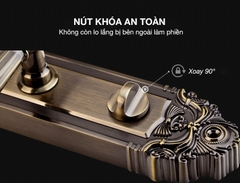 Khóa cửa thông minh Kaadas 6001