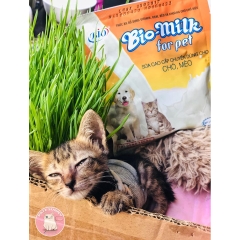 Sữa bột Bio Milk dành cho chó mèo sơ sinh gói 100g