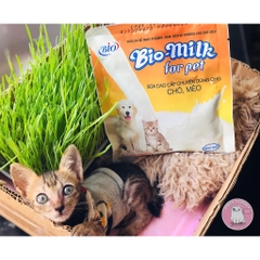 Sữa bột Bio Milk dành cho chó mèo sơ sinh gói 100g
