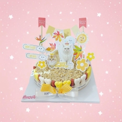 Bánh sinh nhật pate cho thú cưng - Size M 18cm