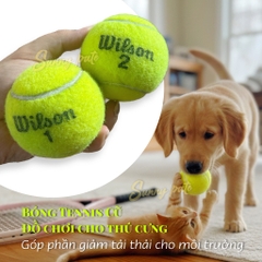 Bóng tennis Wilson cũ - đồ chơi thú cưng - Giảm tải thải cho môi trường