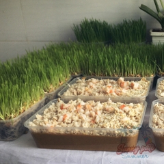 Pate Sunny dinh dưỡng cho chó mèo - HỘP 450G