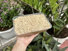 Pate Sunny dinh dưỡng cho chó mèo - HỘP 450G