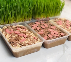 Sunny pate dinh dưỡng cho chó mèo - HỘP 1KG