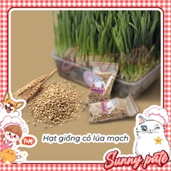 Hạt Giống Cỏ Lúa Mì , Cỏ Mèo cho thú cưng