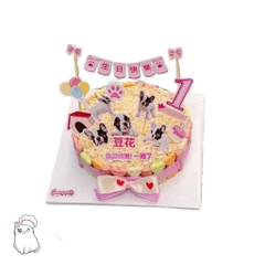 Bánh sinh nhật pate cho thú cưng - size S 15cm