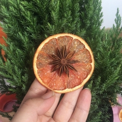 CAM KHÔ TRANG TRÍ GIÁNG SINH CÂY THÔNG - CAM MỸ SẤY - CAM NOEL 2025