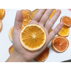 CAM KHÔ TRANG TRÍ GIÁNG SINH CÂY THÔNG - CAM MỸ SẤY - CAM NOEL 2025
