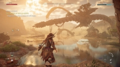Horizon: Forbidden West - PS5