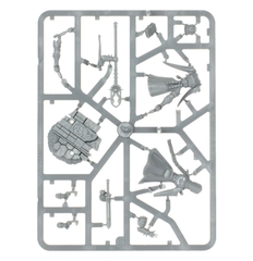 AGE OF SIGMAR: WARRIOR (ENGLISH)