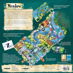 BG: Meadow - Downstream Expansion