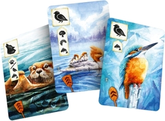 BG: Meadow - Downstream Expansion