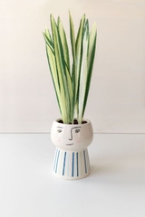 Furniture Plant 4