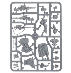 SPACE MARINES PRIMARIS ELIMINATORS