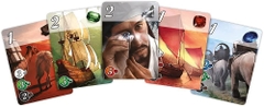 BG: Splendor